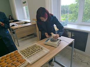 Перья расправлены: птицеводы получили крылья мастерства